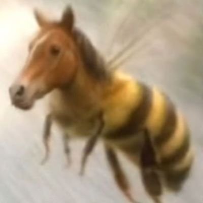 hugaumMatsumoto's profile picture. '-'
eng mecat/poli-usp