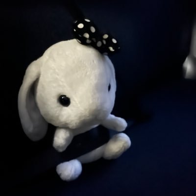 RUNRUNbabyUSAGI's profile picture. ᐢ ̥_ _ ̥ᐢ
