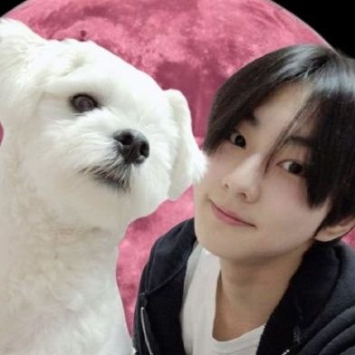 WONwonstarr's profile picture. Heart taken by Jungwonie ✿⁠