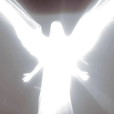 sexo, violencia y llantas Profile