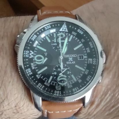 sseallaess's profile picture. Curiosity