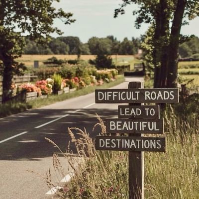 MoonSurviving1's profile picture. 🧑‍⚕️🩺