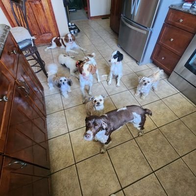 isolated9020's profile picture. Kentucky farmers' wife, and it's been an exhausting ride. For anyone that DMS me, I am not much of a chatter so I may not answer DMs.