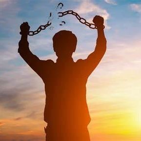 drilldyno's profile picture. 