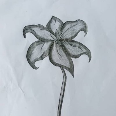 whereisjulo's profile picture. creator… come find out