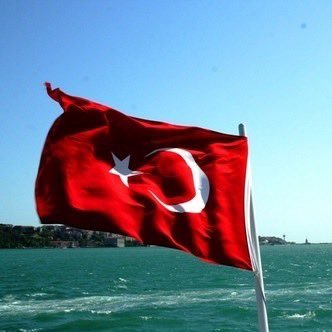 yedi_tepeli3453's profile picture. 