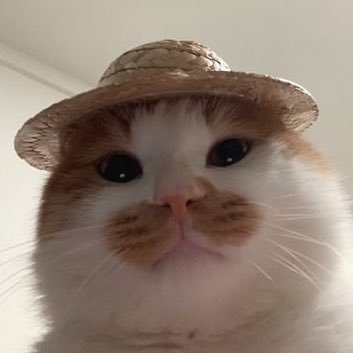 meolohi's profile picture. 그래 짛과 바오잖아