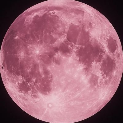 cccccjw_'s profile picture. 