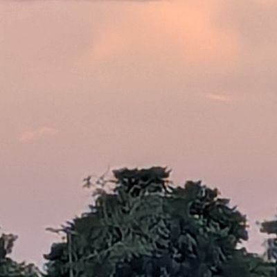 DurjoyShar20028's profile picture. Hi