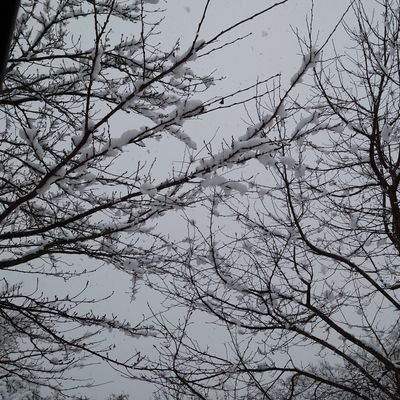 Nanakami7074's profile picture. 新しく作ります