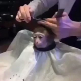 alxndrow's profile picture. 🇧🇷
Esports World Cup 2024 - Overwatch
Flex sup