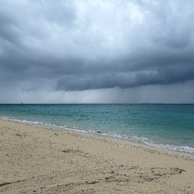 ri5208's profile picture. 犬派　学生