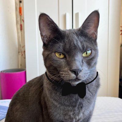 pazmCG's profile picture. 