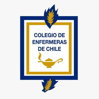 colegioenfermer's profile picture. Asociación gremial. 70 años trabajando al servicio de la enfermería chilena.