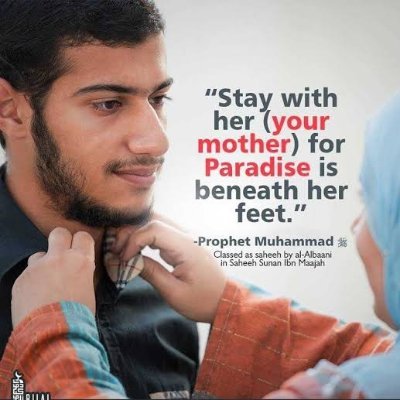 m19034305's profile picture. Student in making