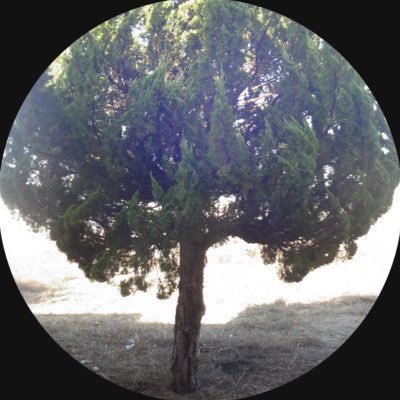 3ainue's profile picture. 