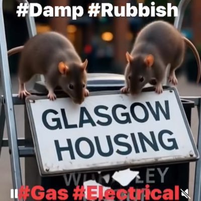 EggScott34332's profile picture. 