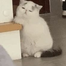 suzanypadua's profile picture. 