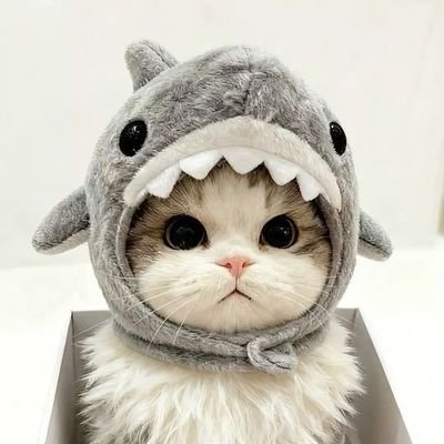 NeoAnap's profile picture. สิ่งที่แสนพิเศษของฉัน  คือ  @winny_thanawin @satangktp 💕