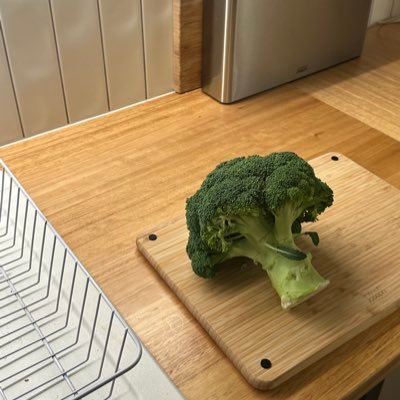 xavier's profile picture. 