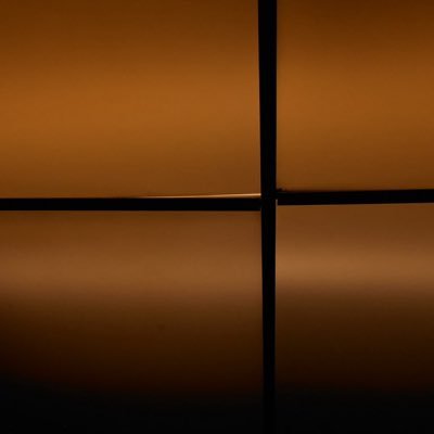 boatproceeds's profile picture. meow meow meow mew mew mew