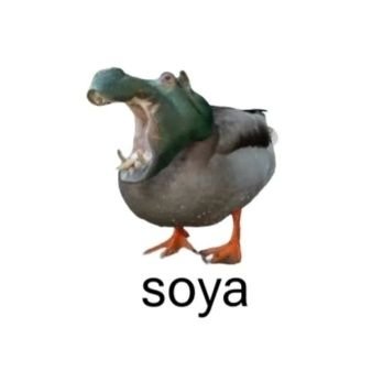 teasoyice's profile picture. barangkali hidup adalah doa yang panjang,
dan sunyi adalah minuman keras (damono, 1964).