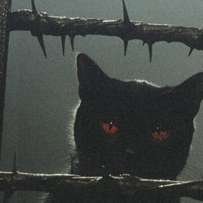 Guizi946's profile picture. 33 « ils savent pas Jsuis à quel level de l’éveil » 33