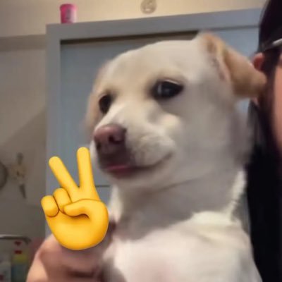 N_Norlalala's profile picture. ไร้สาระing 🤪 / ซาหริ่มส้ม / ติ่งเกาหลี หลงกำแพงจีน / อนิเมะมือใหม่ 🌸