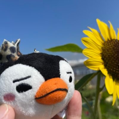 mari1125jh's profile picture. ドラマ『ただ愛する仲』でジュノを知り、2PMのジュノを知る☺︎2022.8「Before Midnight」で生ジュノに会う♪2023.10「Can I」初サイン会❤︎どっぷりと沼に浸かってます♡ スキズのヒョンジンと俳優イ・ジョンソクも推してます🫶