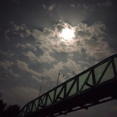 coolvibes645's profile picture. 