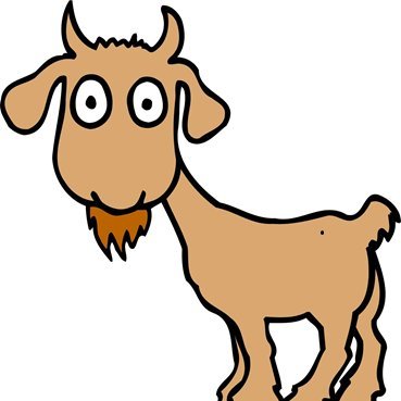 cjziu64377777's profile picture. 