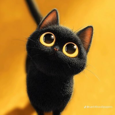 SambaSam2642sam's profile picture. Sambabah