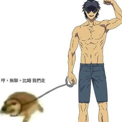 plng533458's profile picture. 台中獨居老人