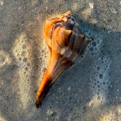 joyandhustle's profile picture. 