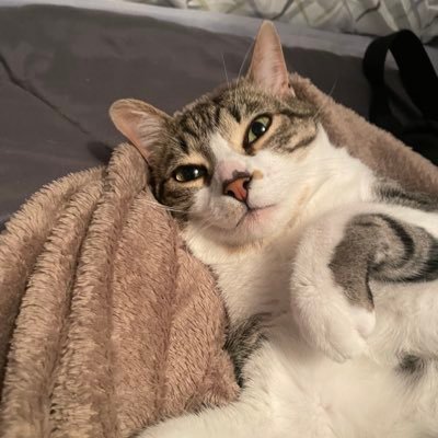 zaarmma's profile picture. |23| Disléxica