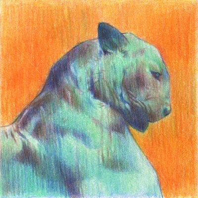 ayeshtdm04's profile picture. Traditional Artist //
Instagram: https://t.co/zcwgYRgx7S
Bluesky: https://t.co/QpvhM1PTRB