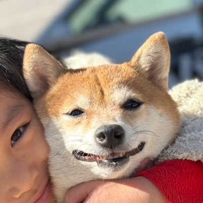 mottomiyamoto's profile picture. 犬好き・家族好き・アニメ好き・大谷さん❤️ / 会計士 / 某社代表 / 某大学院講師/ AI研究者 / 『AI』と聞くと嫌悪感を感じるアナタへ(私もそうでした)。ミヤモトは無害なお茶の間の教育者。専門用語🙅‍♂️🙅‍♀️ / 親子で学ぶAI教室開校予定 / #フォロバ100