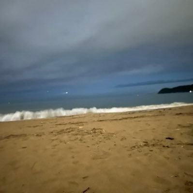 sonosno0720's profile picture. 