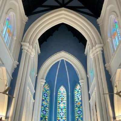 Sophia382189399's profile picture. 