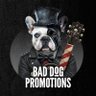 baddogpromo's profile picture. Music PR Agency - Bad Dog Promotions’ main mission is to empower musicians and to offer world-wide promotional services.  Prestige Awards 2025/26 winner.