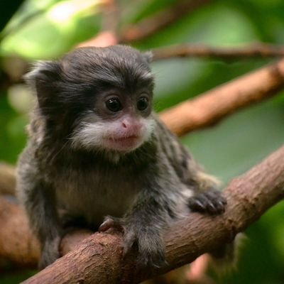 juju004_'s profile picture. 