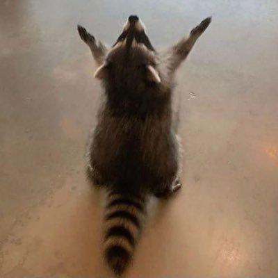 crysiscat's profile picture. 