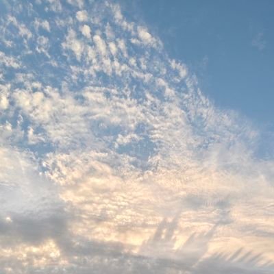 kendinebatak's profile picture. 