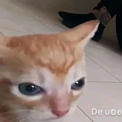 Jenlisalove6's profile picture. FOR THE BIGGEST GIRLGROUP