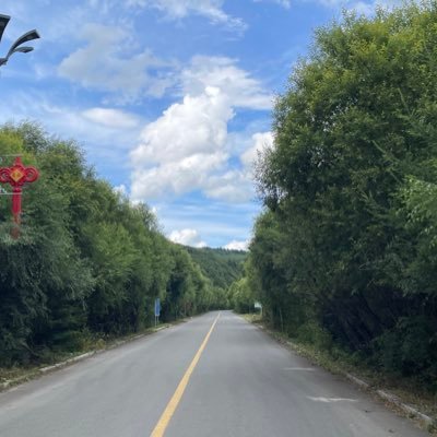 longl569304's profile picture. 1