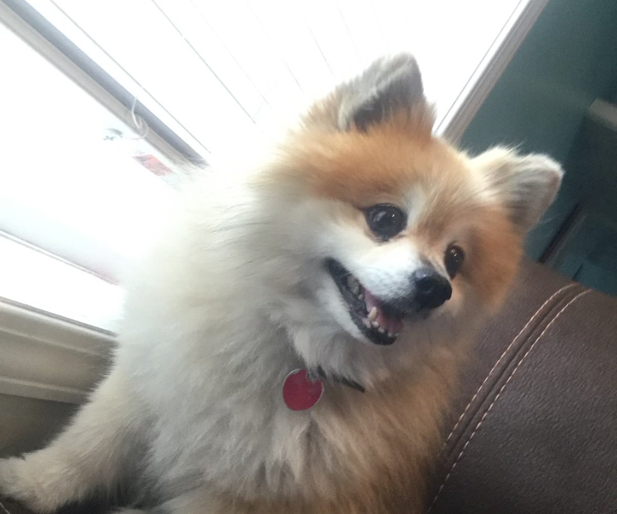 cthagote's profile picture. 