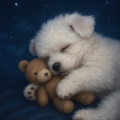 C3CYxerkUK41106's profile picture. マルチーズ × チワックスのふわふわ犬🤍|🎂2024.04.16（♂）| YouTube👉🏻マルチワックスのましゅまろCH