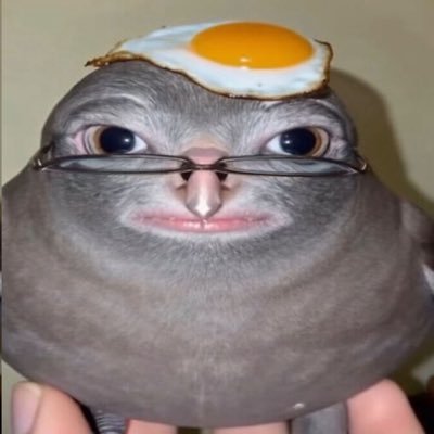 bullfrog1415's profile picture. 