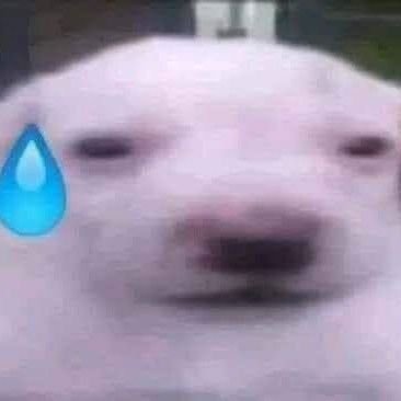 cherinbt_'s profile picture. 🩹’ mutifd 𓏲𑁘ᮬ˖ ࣪ ‧₊˚⏜ ۫ . ⟡ # victor proxie 🥯