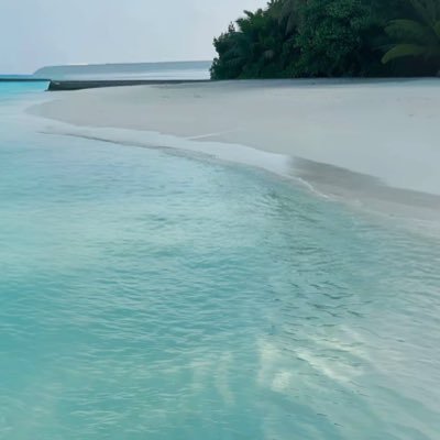 Smituby2's profile picture. Graphic designer | cybersecurity | Chelsea fan